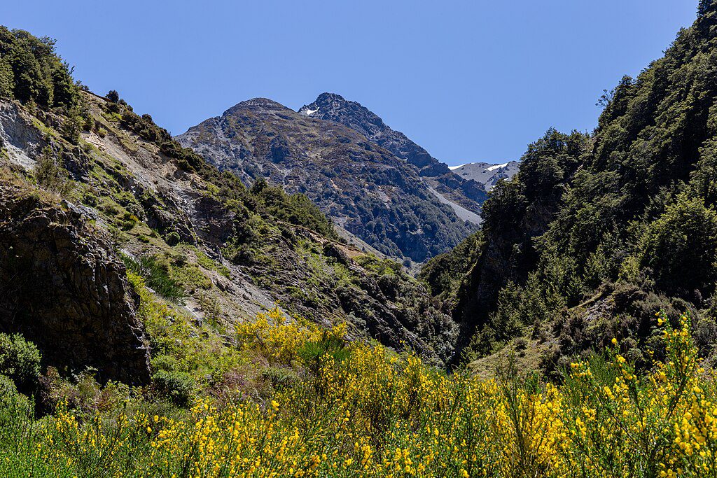 Castle Hill Basin, New Zealand || Technical limestone bouldering in open grasslands || https://www.thecrag.com/en/climbing/new-zealand/castle-hill-basin