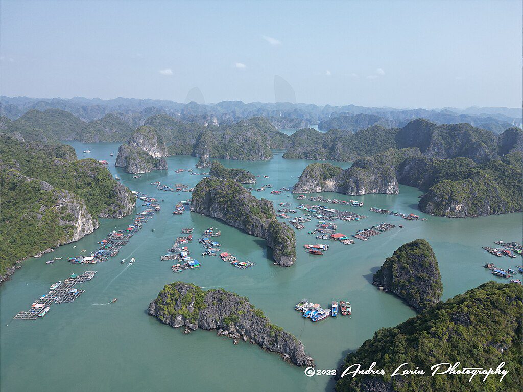 Cat Ba Island, Vietnam || Sea-cliff limestone in a quiet island setting || https://www.thecrag.com/en/climbing/vietnam/cat-ba-island