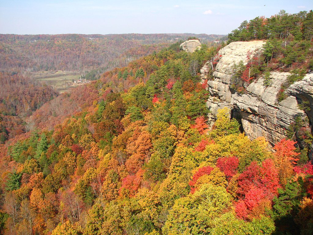 Red River Gorge, USA || Steep pocketed sandstone in a forested canyon || https://www.mountainproject.com/area/105841134/red-river-gorge